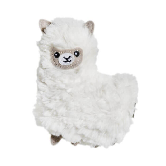 Pocket Pal Llama