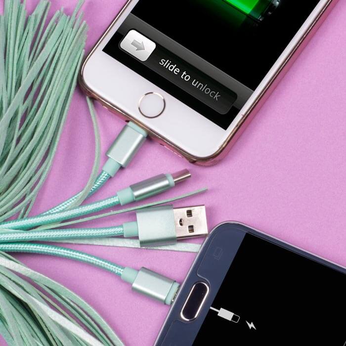 Pusheen Tassel Charger