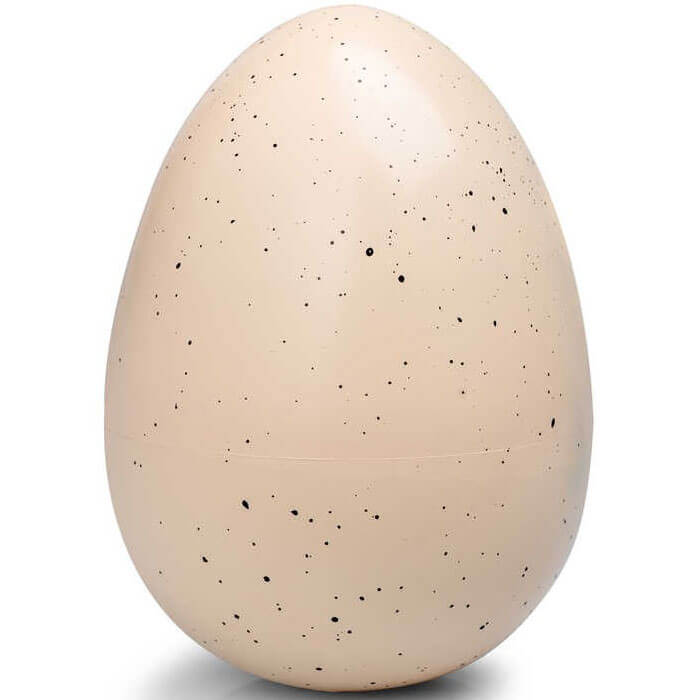 Dinosaur Giant Egg