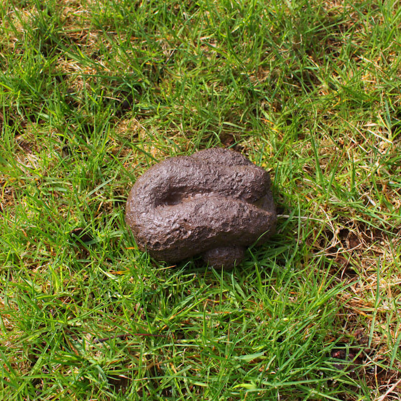 Hide-A-Key Dog Poop