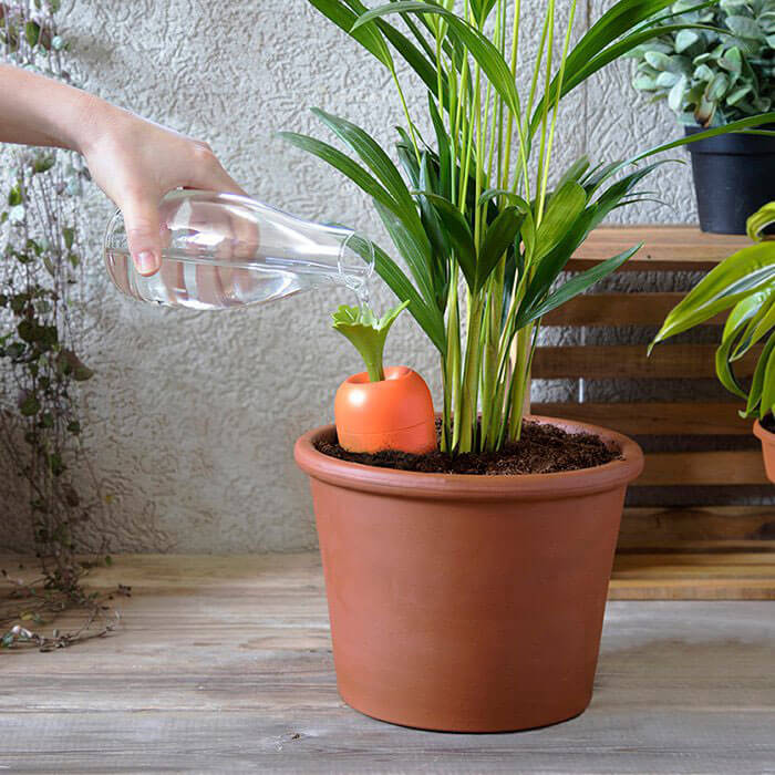 Sistema di Irrigazione Automatico Carota