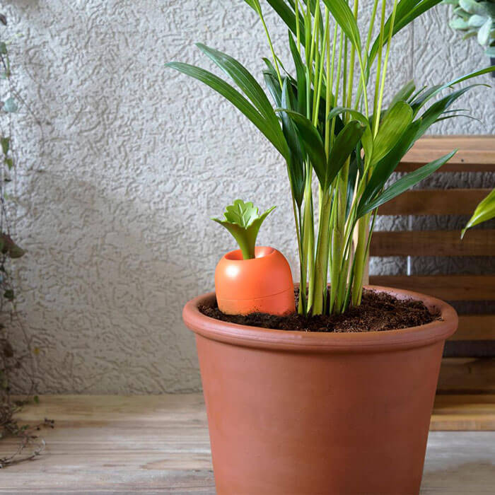 Sistema di Irrigazione Automatico Carota