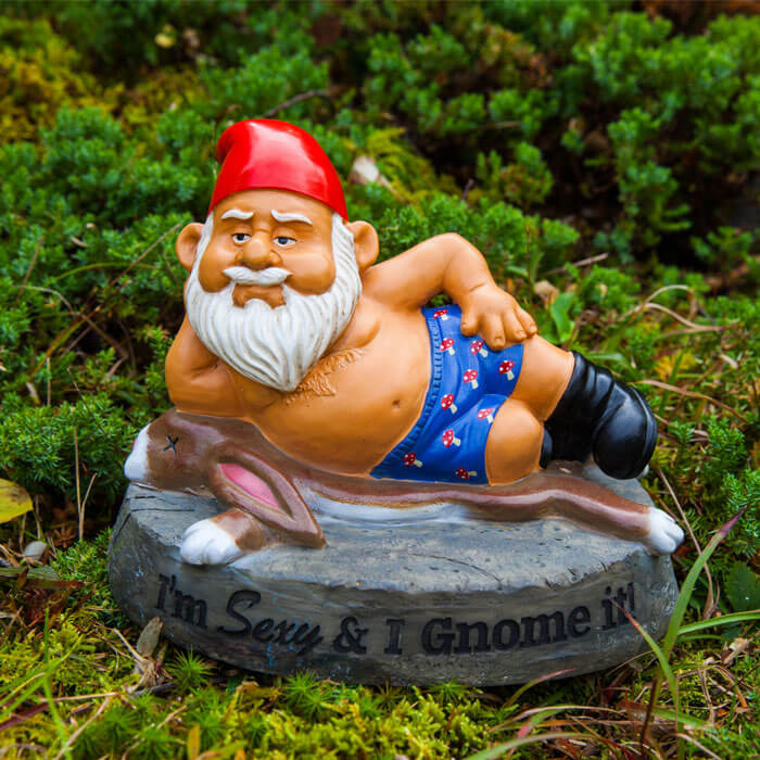 The Hot Stuff Garden Gnome Gadgets And Gift Ideas