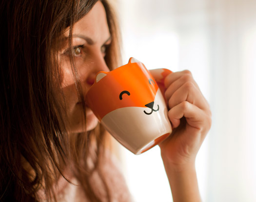 Tasse Fuchs