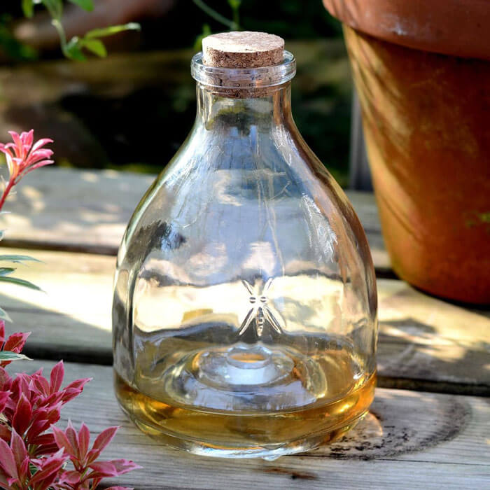 Wasp Trap Set