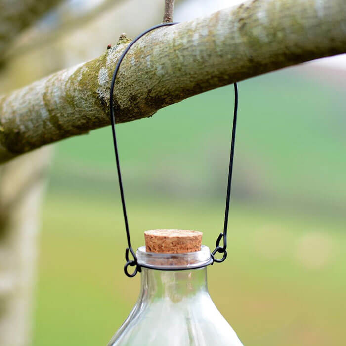 Wasp Trap Set