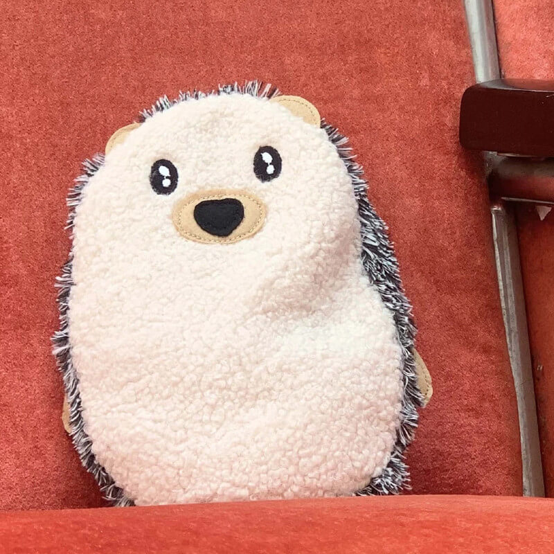 Huggable Spiky Hedgehog