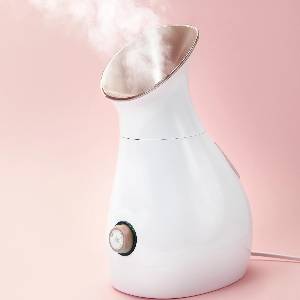 Ionic Spa Facial Steamer