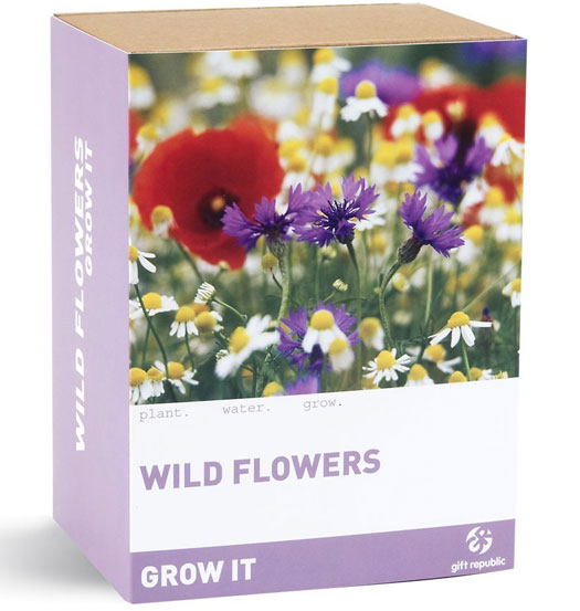 Grow Your Own Wild Flowers