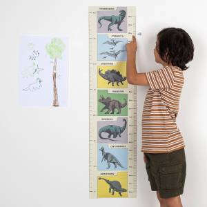 Prehistoric Land Height Chart