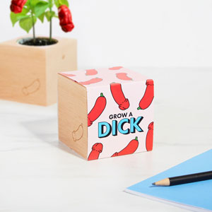 Penis-Chilis Pflanzset