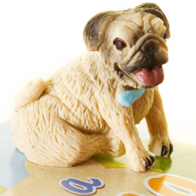 Magic Pug