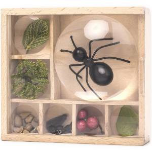 Huckleberry Bug Box