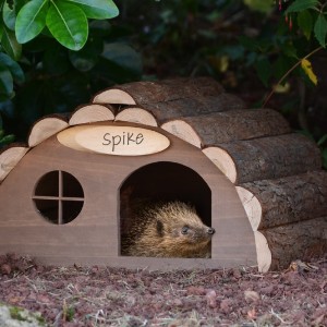 Wooden Hedgehog House