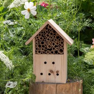 Wonders Of Nature Insect Hotel