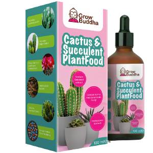 Cactus and Succulent Food Fertiliser