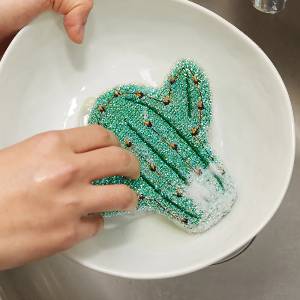 Cactus Scrub Sponge