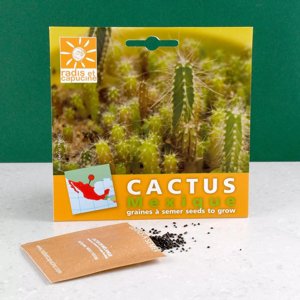 Fairy Castle Kaktus-Samen