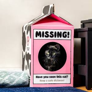 Milk Carton Cat Playhouse