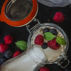 Kit Preparazione Kefir Artigianale