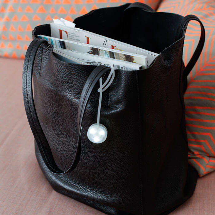 Handbag Light