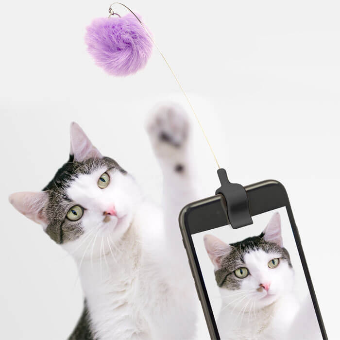 Kitty Phone Clip