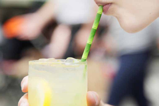 Biodegradable Paper Straws Bamboo