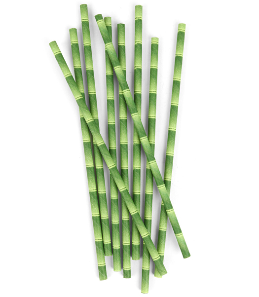 Biodegradable Paper Straws Bamboo