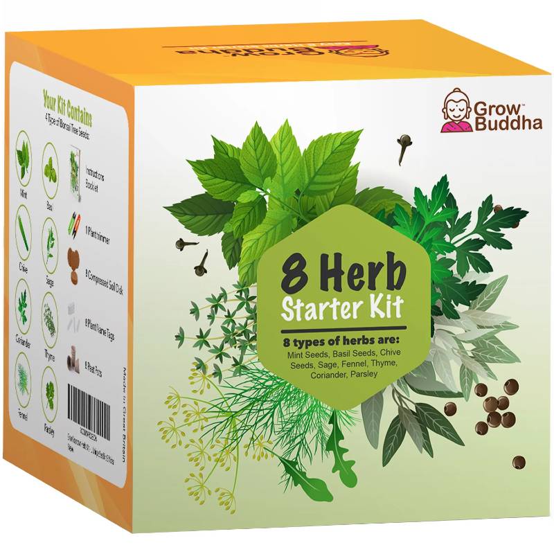 Grow Your Own Herbs Starter Kit