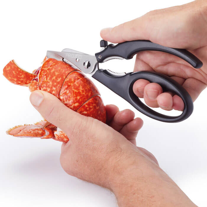 Seafood Shears