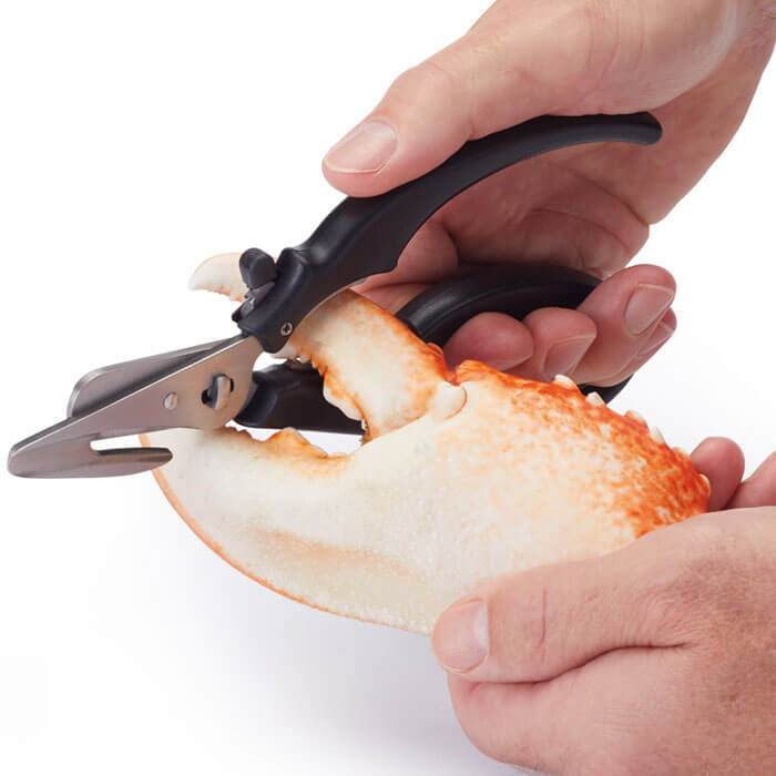 Seafood Shears