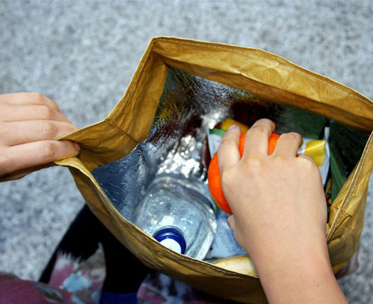 Brown Paper Bag Lunch Bag