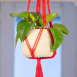 Red Macrame and Cement Planter