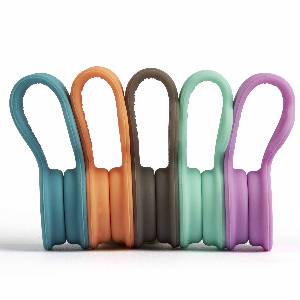 Set of 5 Magnetic Clips