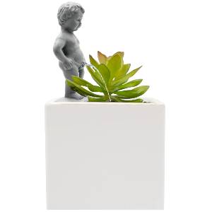 Distributeur d'Eau pour Plantes Manneken Pis