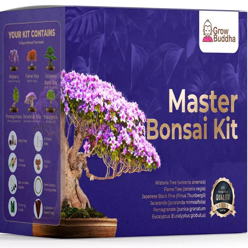 Master Bonsai Starter Kit