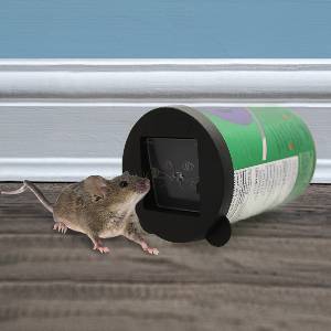 Mouse Can Traps