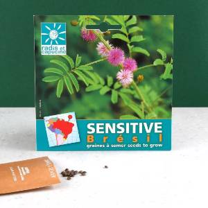 Mimosa Seed Kit