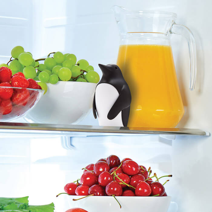 Chill Bill - Assorbi Odori per Frigo - Gadgets, Idee regalo originali