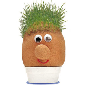 Silence a Pousse ! Mr Grasshead