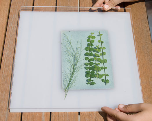 Sunography Lichtempfindliches Papier