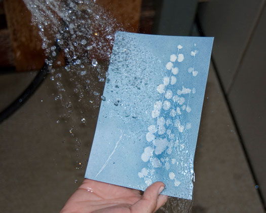 Sunography Lichtempfindliches Papier