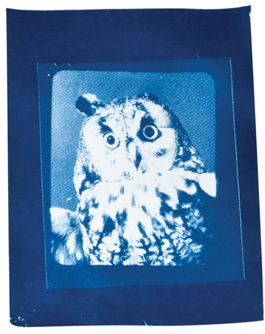 Sunography Lichtempfindliches Papier