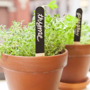 Reusable Garden Markers