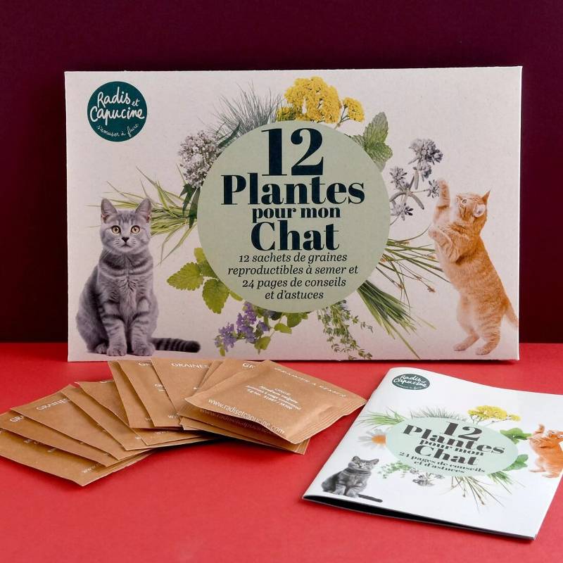 12 Plants for My Cat Seed Set
