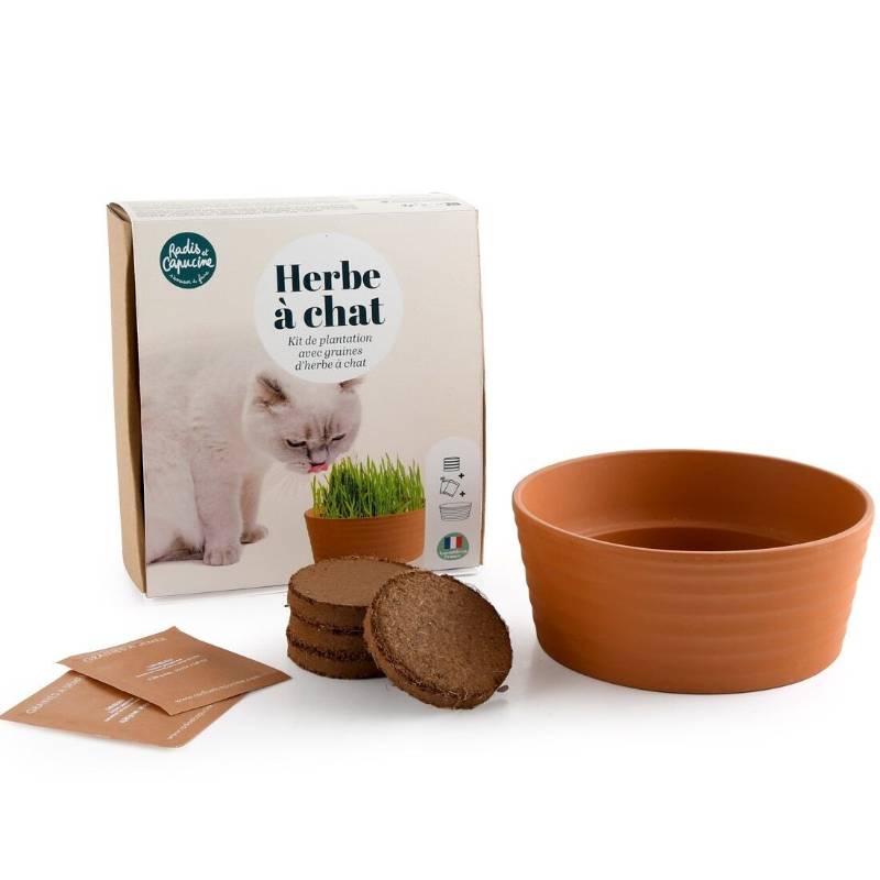 Cat Herb Growing Kit