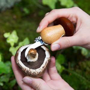 Mushroom Tool Keychain