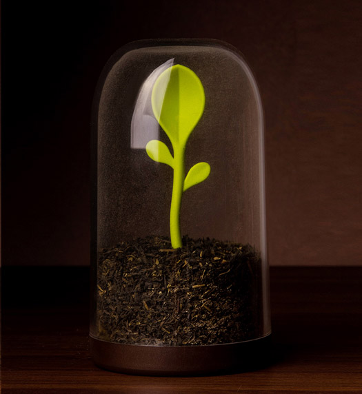 Sprout Jar