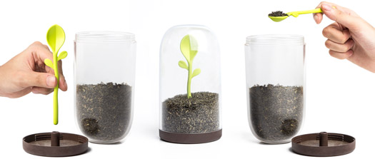 Sprout Jar