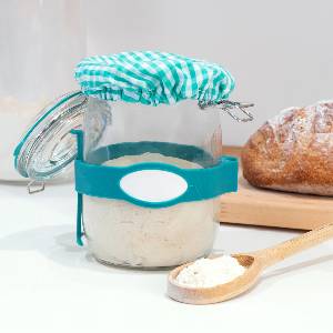 Sourdough Starter Kit